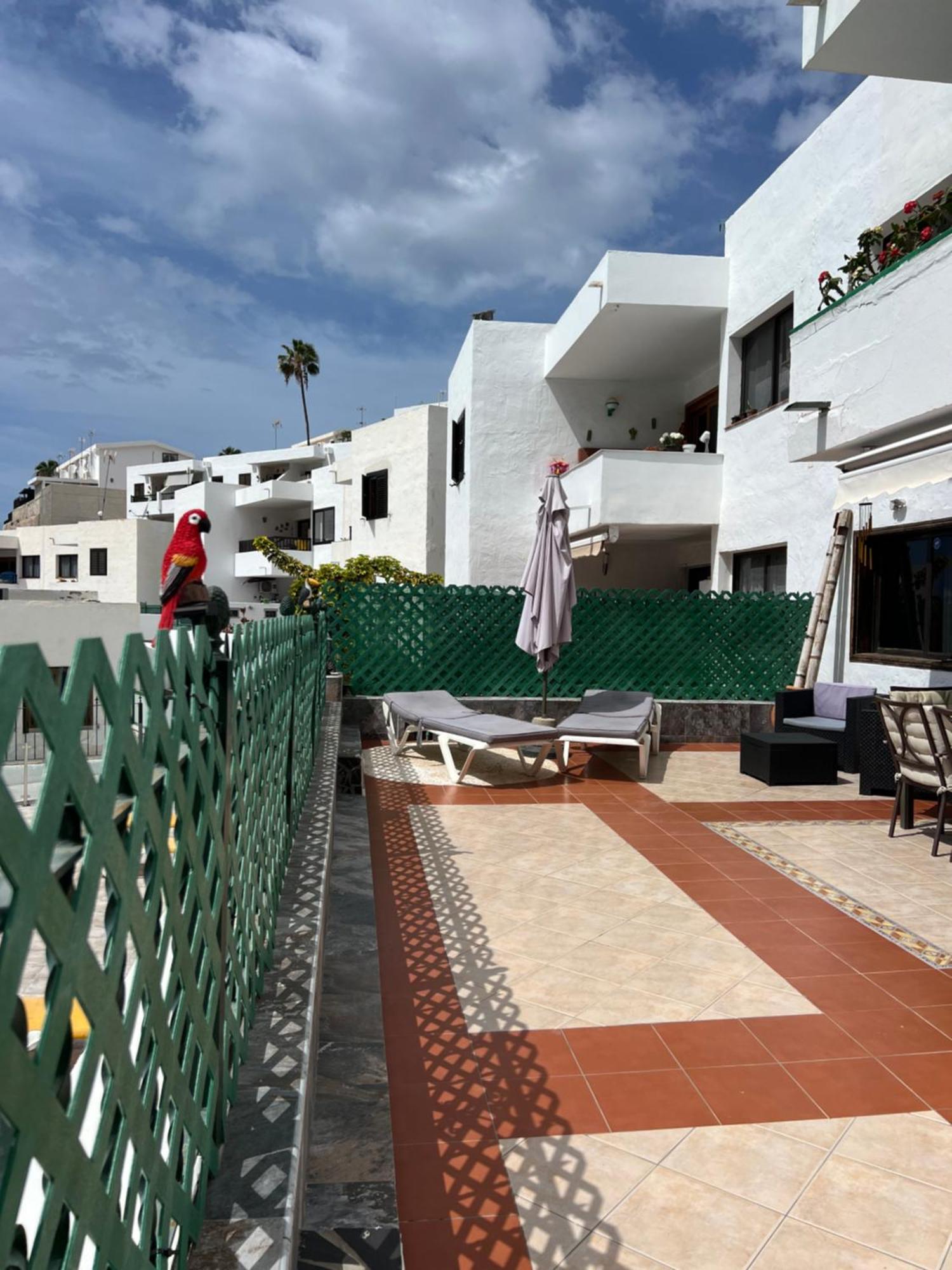 Lovely Apartment 2 Rooms With Big Terrace In Puerto Rico Puerto Rico  Ngoại thất bức ảnh